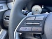 2025 Hyundai Palisade SEL Premium thumbnail image 14