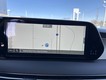 2025 Hyundai Palisade SEL Premium thumbnail image 16