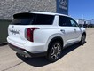 2025 Hyundai Palisade SEL Premium thumbnail image 03