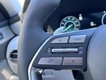 2025 Hyundai Palisade SEL Premium thumbnail image 13