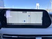 2025 Hyundai Palisade SEL Premium thumbnail image 15