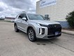 2025 Hyundai Palisade SEL Premium thumbnail image 01