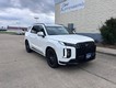 2025 Hyundai Palisade Calligraphy Night Edition thumbnail image 01