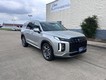 2025 Hyundai Palisade SEL Premium thumbnail image 01
