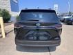 2023 Toyota Sienna XLE FWD (Natl) thumbnail image 04