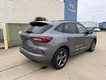 2024 Ford Escape ST-Line thumbnail image 03