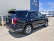 2025 Hyundai Palisade SEL thumbnail image 03