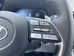 2025 Hyundai Palisade SEL thumbnail image 14
