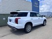 2025 Hyundai Palisade SEL thumbnail image 03