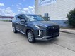 2025 Hyundai Palisade SEL thumbnail image 01