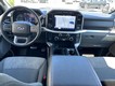 2023 Ford F-150 4WD XLT SuperCrew thumbnail image 08