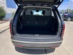 2026 Hyundai Palisade SEL Convenience thumbnail image 05