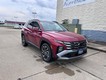 2026 Hyundai Tucson Limited thumbnail image 01