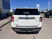 2020 Ford Explorer Platinum thumbnail image 04