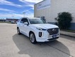 2020 Hyundai Palisade Limited thumbnail image 01