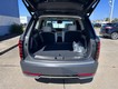 2026 Hyundai Palisade Calligraphy thumbnail image 05