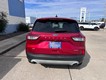2021 Ford Escape SE thumbnail image 04