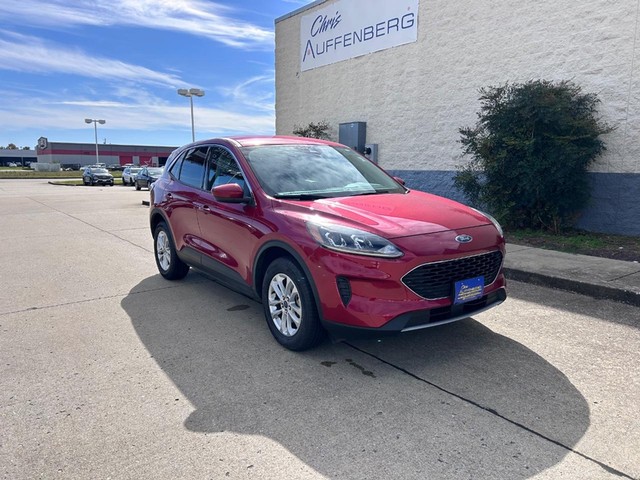 Cape Girardeau MO 2021 Ford Escape more details - ford escape