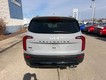 2022 Kia Telluride EX thumbnail image 04