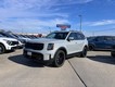 2025 Kia Telluride SX-Prestige X-Line thumbnail image 01