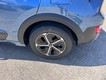 2025 Kia Niro EX thumbnail image 06