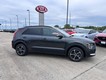 2025 Kia Niro EX thumbnail image 02
