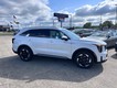 2025 Kia Sorento Hybrid EX thumbnail image 02