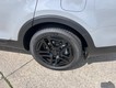 2025 Kia Telluride SX-Prestige X-Line thumbnail image 06