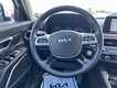 2022 Kia Telluride SX thumbnail image 12