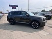 2025 Kia Telluride SX thumbnail image 02