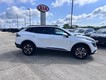 2023 Kia Sportage Hybrid EX thumbnail image 02