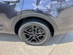 2025 Kia Telluride EX X-Line thumbnail image 05