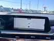 2025 Kia Telluride SX-Prestige X-Line thumbnail image 14