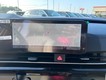 2026 Kia Carnival Hybrid SX Prestige thumbnail image 15