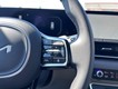 2025 Kia Carnival Hybrid SX thumbnail image 14