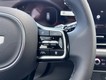 2026 Kia Carnival SX thumbnail image 14