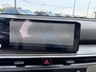 2025 Kia Sorento Hybrid EX thumbnail image 13