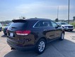 2016 Kia Sorento LX thumbnail image 03