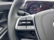 2025 Kia Telluride SX-Prestige X-Line thumbnail image 13