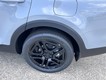2025 Kia Telluride SX-Prestige X-Line thumbnail image 07