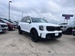 2025 Kia Telluride SX-Prestige X-Line thumbnail image 01