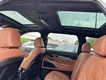 2025 Kia Telluride SX-Prestige X-Line thumbnail image 09