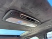 2025 Kia Telluride SX-Prestige X-Line thumbnail image 10