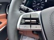 2025 Kia Telluride SX-Prestige X-Line thumbnail image 13