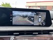 2025 Kia Telluride SX-Prestige X-Line thumbnail image 22