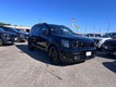 2025 Kia Telluride SX X-Line thumbnail image 01