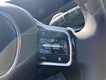 2025 Kia Sorento Hybrid EX thumbnail image 13