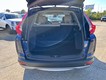 2019 Honda CR-V EX-L thumbnail image 04