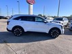 2026 Kia Sorento EX thumbnail image 02