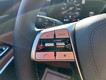 2025 Kia Telluride AWD thumbnail image 13